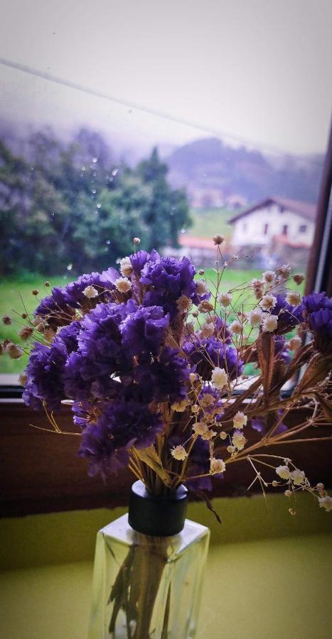 Casa Rural Asitxo 베르메오 외부 사진